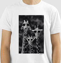 Camiseta Tradicional Altamente Descoladas