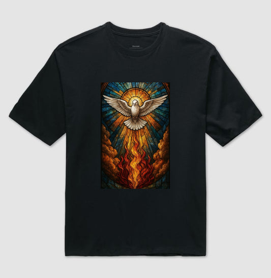 Camiseta oversized Vinde, Espírito Santo